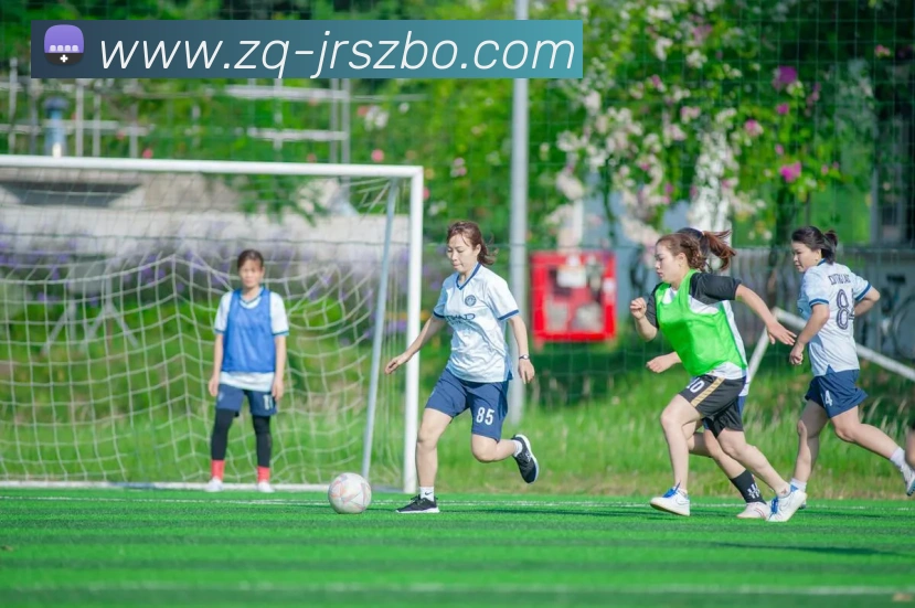 App Interface Preview